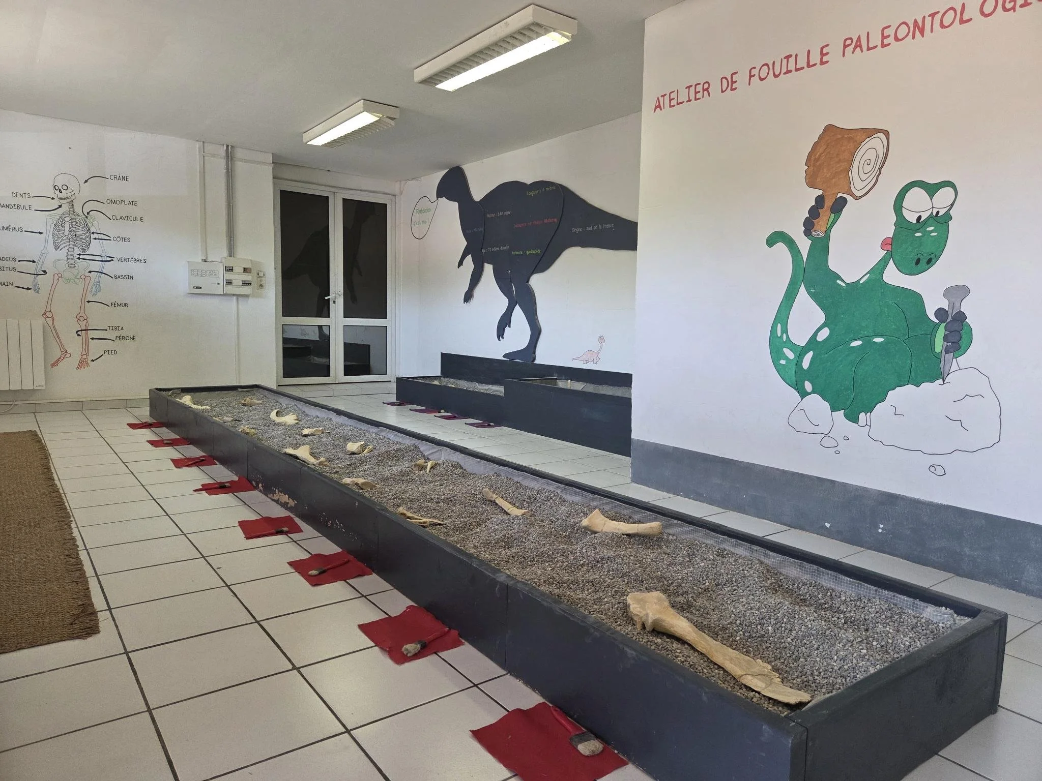 Mur peint illustrant un squelette humain avec annotations en français, un dessin d’un dinosaure le rhabdodon. Le sol a une zone de fouilles avec des graviers, des fossiles de dinosaures et des pinceaux.