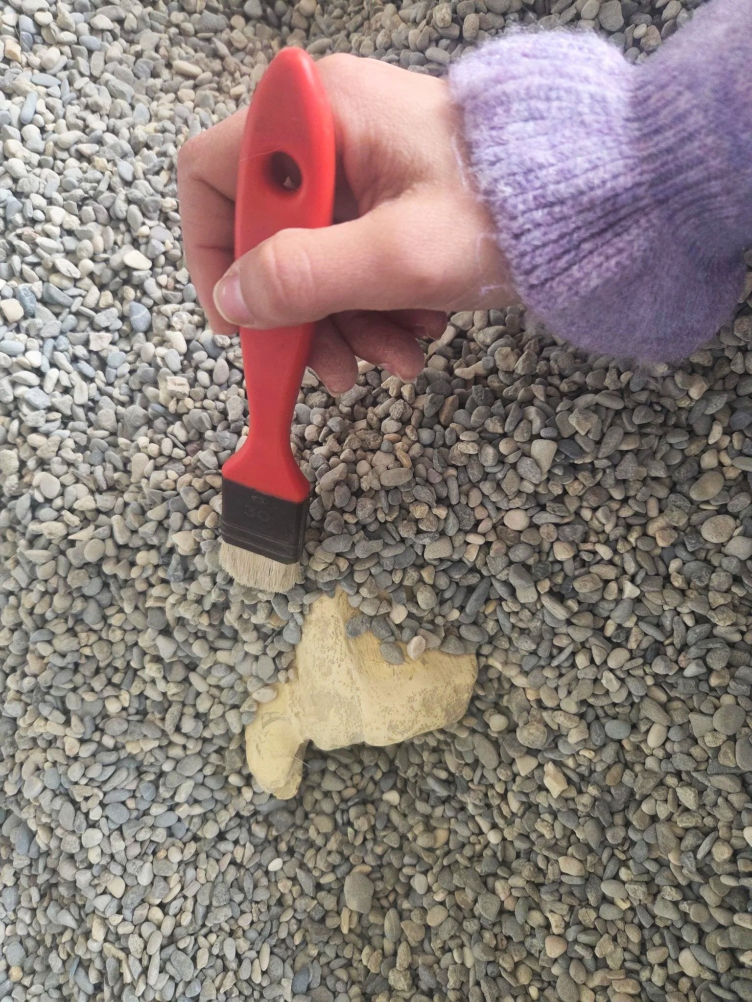 Fouilles paléontologiques: Une main tenant un pinceau à peinture rouge, posée sur un sol de petits cailloux gris, avec une roche beige en dessous.