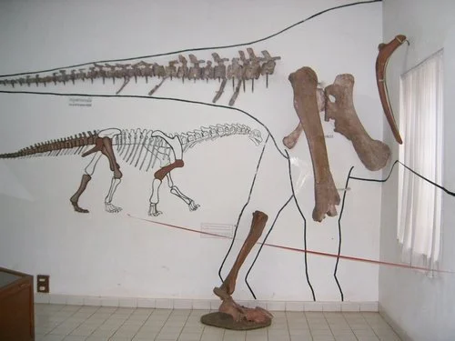 Aux origines d’Ichthyovenator : Josué-Heilmann Hoffet, l’inventeur des dinosaures du Laos