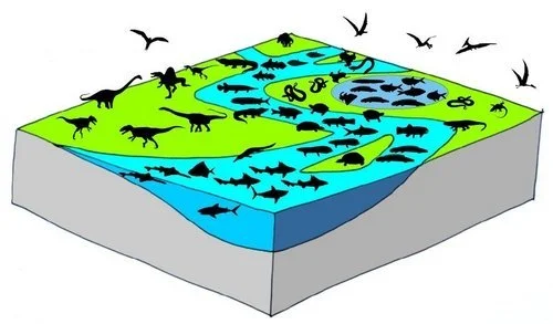 Bousculade chez des dinosaures carnivores