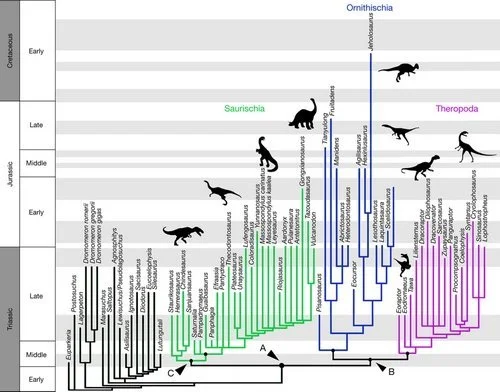 Du rififi chez les dinos : quand Diplodocus tombe de l’arbre