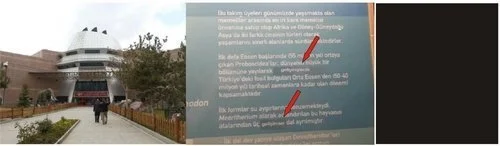 Evrim : retour d’un voyage au pays hostile à l’évolution