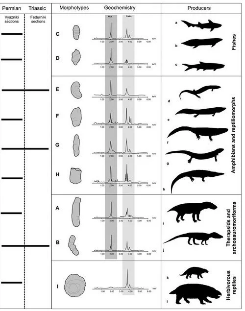 Extinction du domaine de la crotte