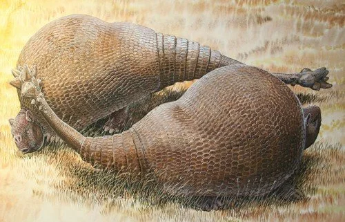 Glyptodon : t’as tout d’un tatou ?
