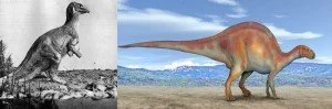 La queue du dinosaure : un problème d’érection ?