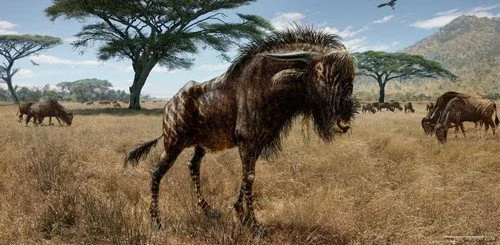 L’antilope qui barétait comme un hadrosaure