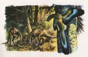 L’archéoptéryx était en noir. Enfin, peut-être…