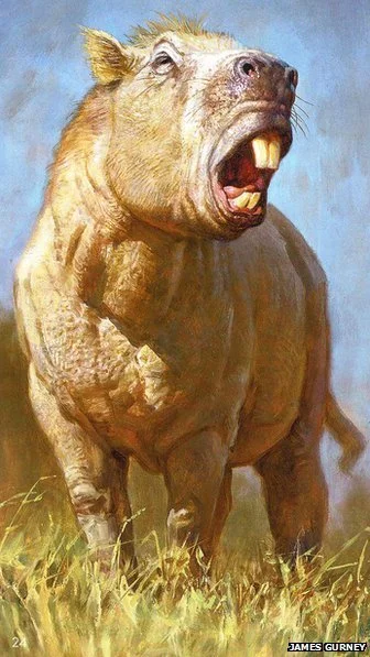 Le chinchilla qui voulait devenir éléphant