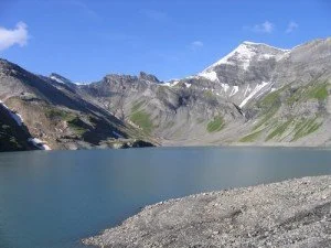 Le talon d’Achille des dinosaures alpins