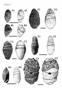 Les crottes magiques de Chaiyaphum