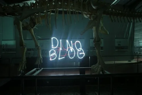 Les rencontres du Dinoblog – Saison 3