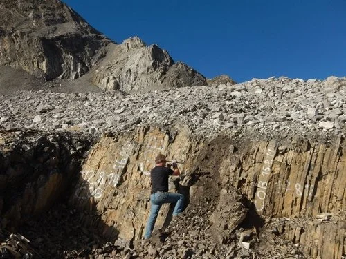 L’étrange cœlacanthe des Alpes suisses ou lorsque Dory rencontre Relicanth