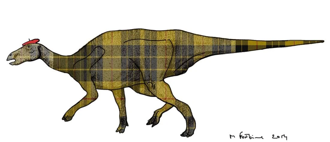 L’oeil de Michel : Scotlandosaurus
