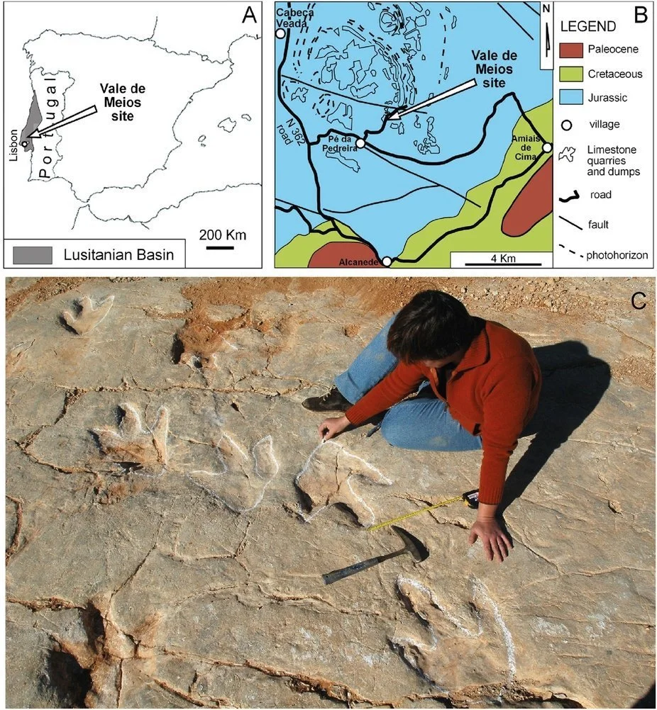 Megalosaurus et les vacances de Monsieur Bulot