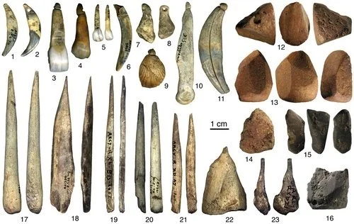 Néandertal a bien inventé la paléontologie