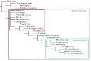 Non, Tyrannosaurus n’avait pas de plumes !