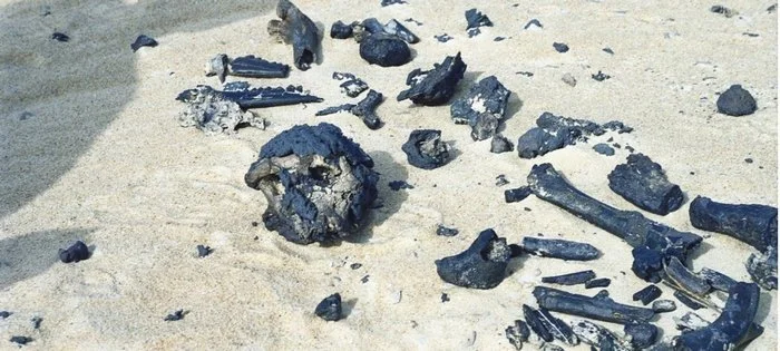 Toumaï aïe aïe aïe : triste histoire d’un fémur indigne