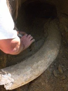 Un mammouth chez les dinosaures : l’Age de Glace III dans la Haute Vallée de l’Aude