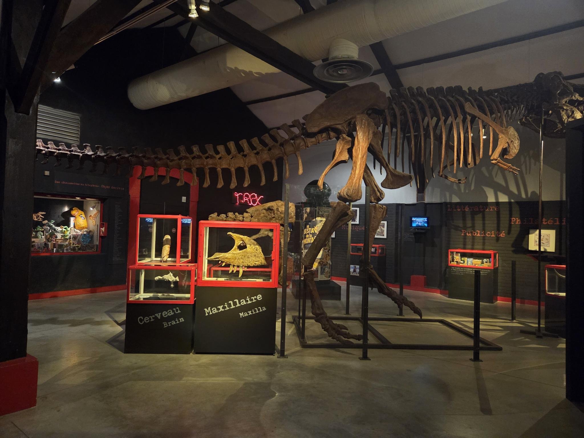 Squelette de dinosaure exposé dans un musée, avec des panneaux d'information et des vitrines autour.