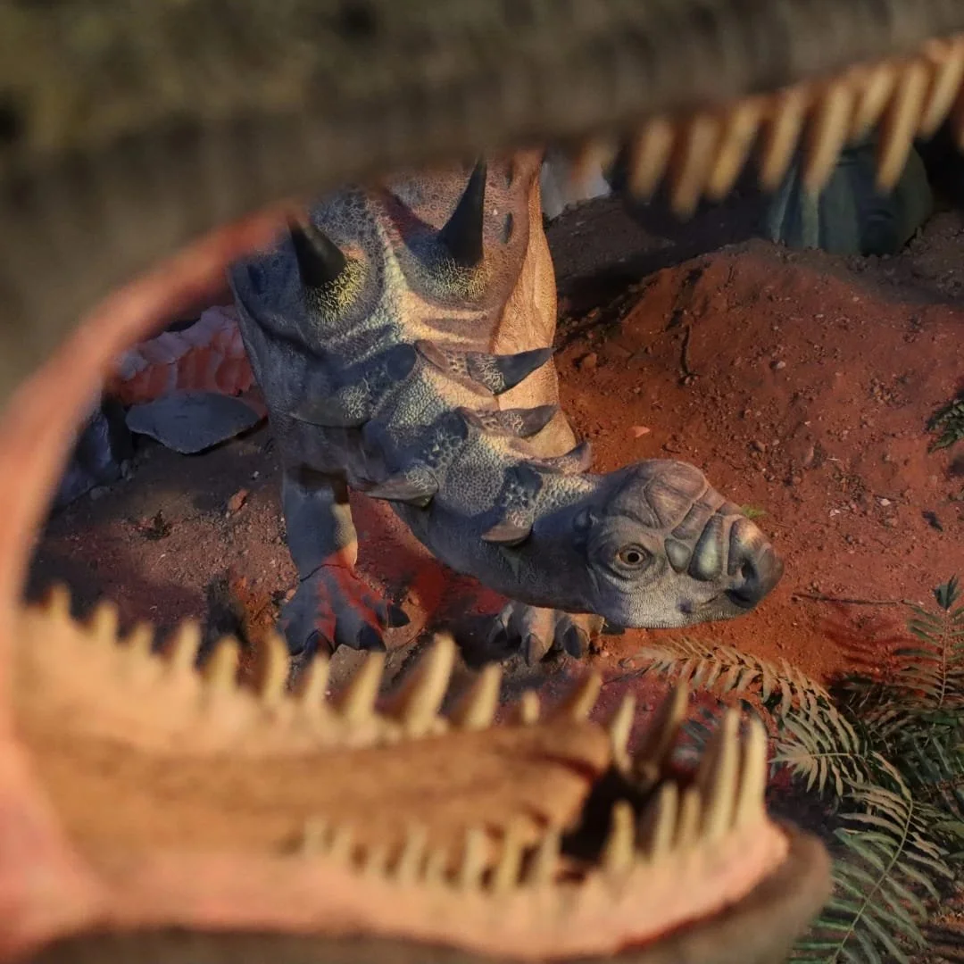 Un bébé tricératops vu à travers la mâchoire ouverte d'un autre dinosaure