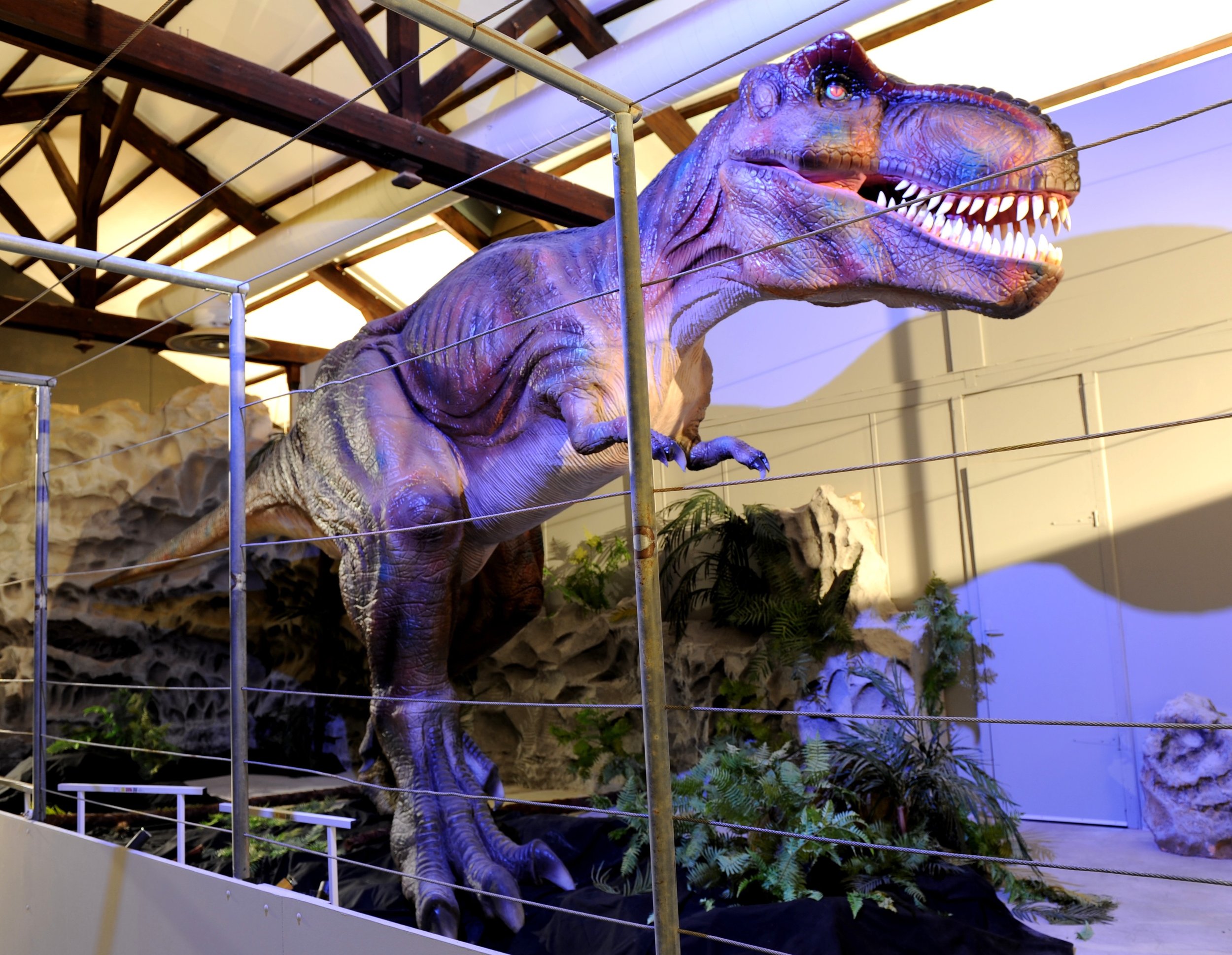 Modèle de dinosaure T-Rex exposé dans un musée, entouré de parois et de végétation en plastique.