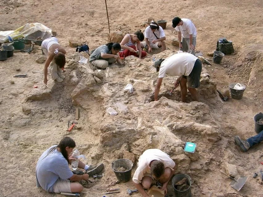 Groupe de chercheurs en train de fouiller et d'étudier un site archéologique dans un environnement désertique.