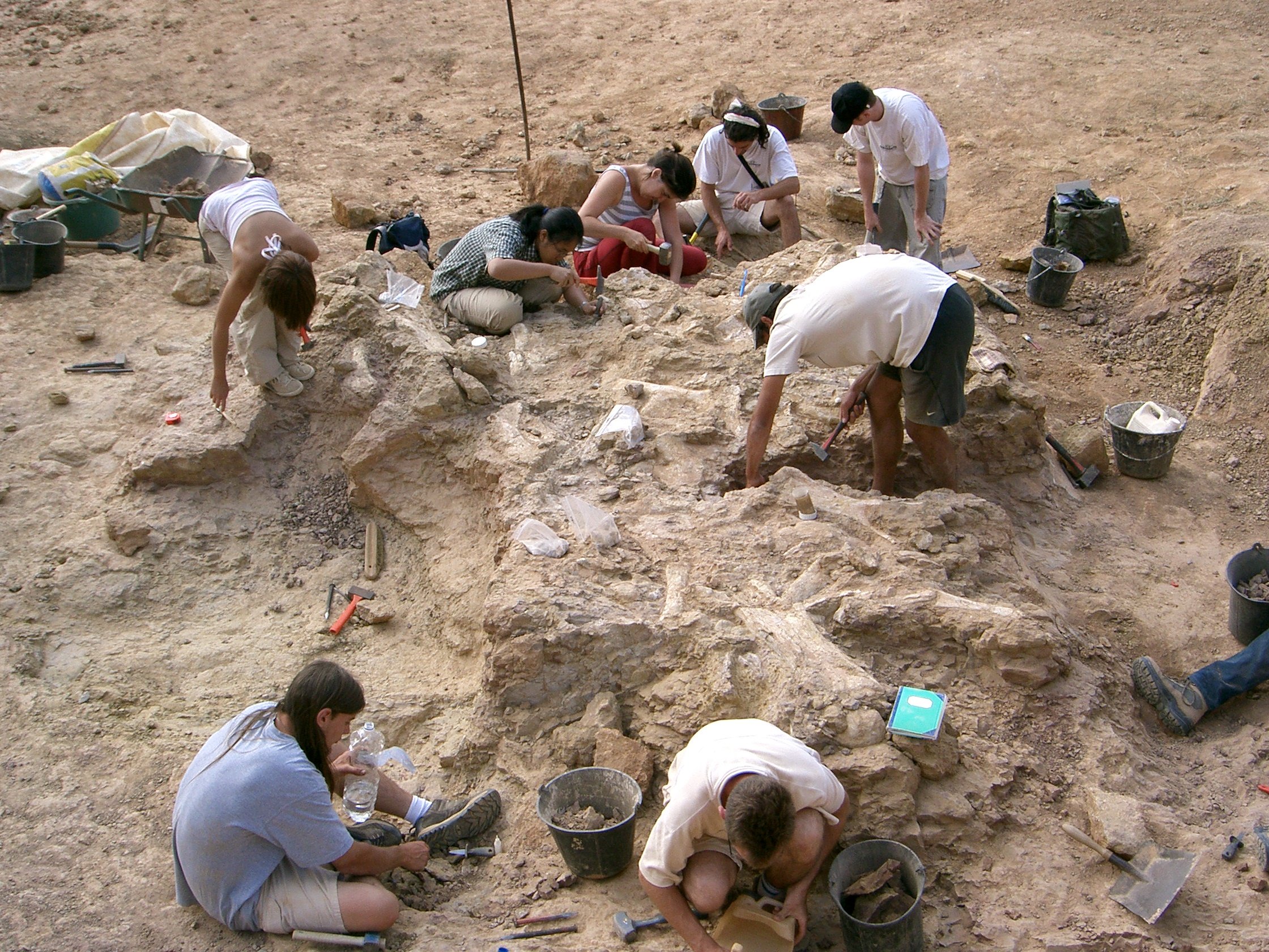 Des archéologues travaillent à l'excavation dans un site de fouilles. Ils utilisent divers outils pour déterrer des restes archéologiques dans la terre.