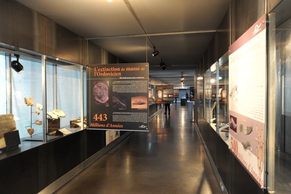 Salle d'exposition avec vitrines contenant des fossiles et affiches informatives sur l'extinction de masse de l'Ordovicien, and le nombre de 443 millions d'années.
