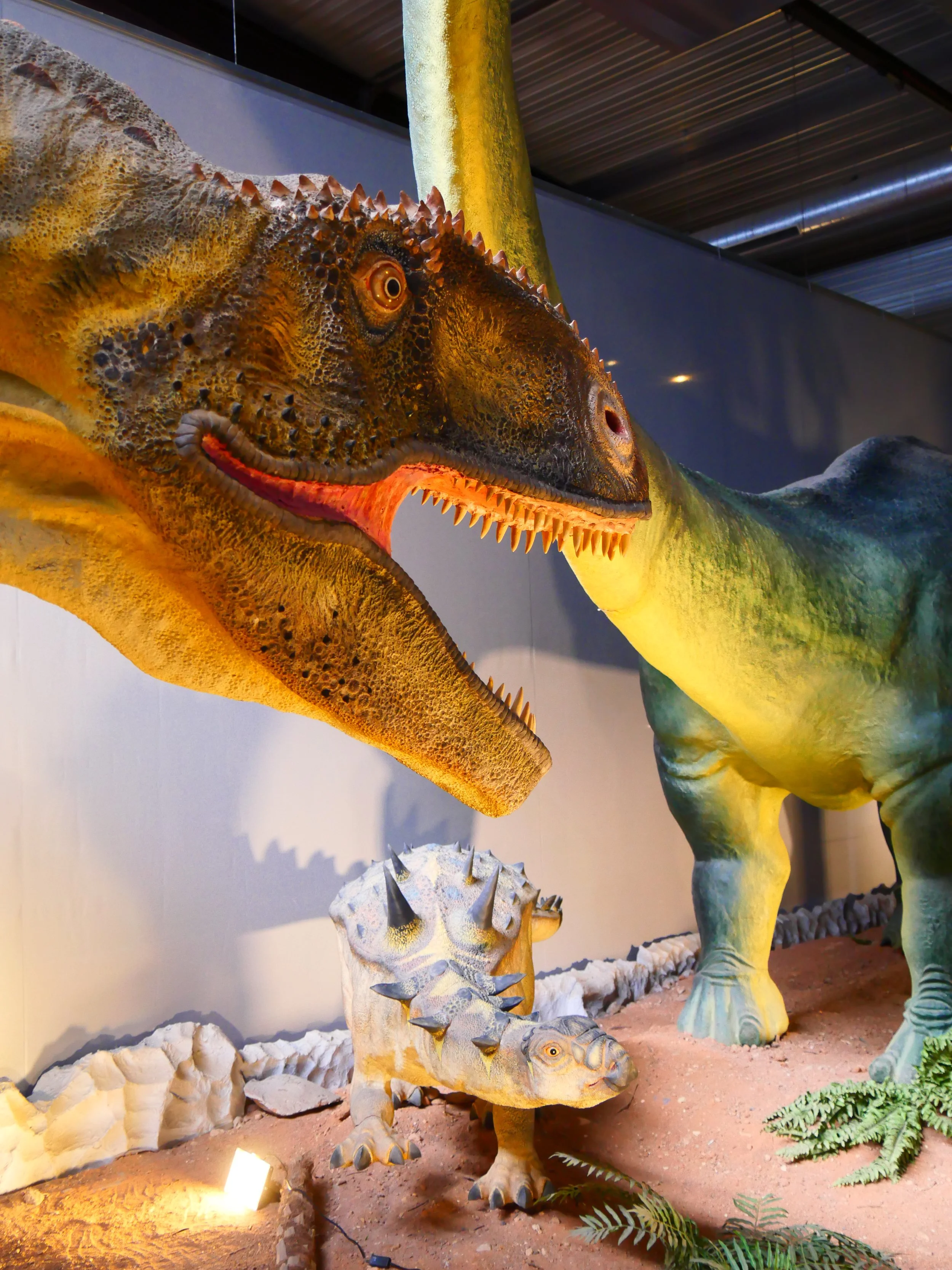 Statue d'un dinosaure, probablement un tyrannosaure, exposée dans un musée, avec un squelette en arrière-plan et un sol en terre avec des plantes artificielles.