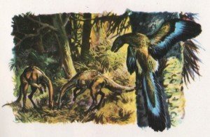 L’archéoptéryx était en noir. Enfin, peut-être…