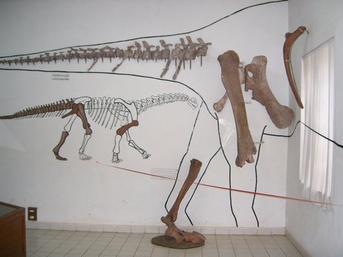 Aux origines d’Ichthyovenator : Josué-Heilmann Hoffet, l’inventeur des dinosaures du Laos
