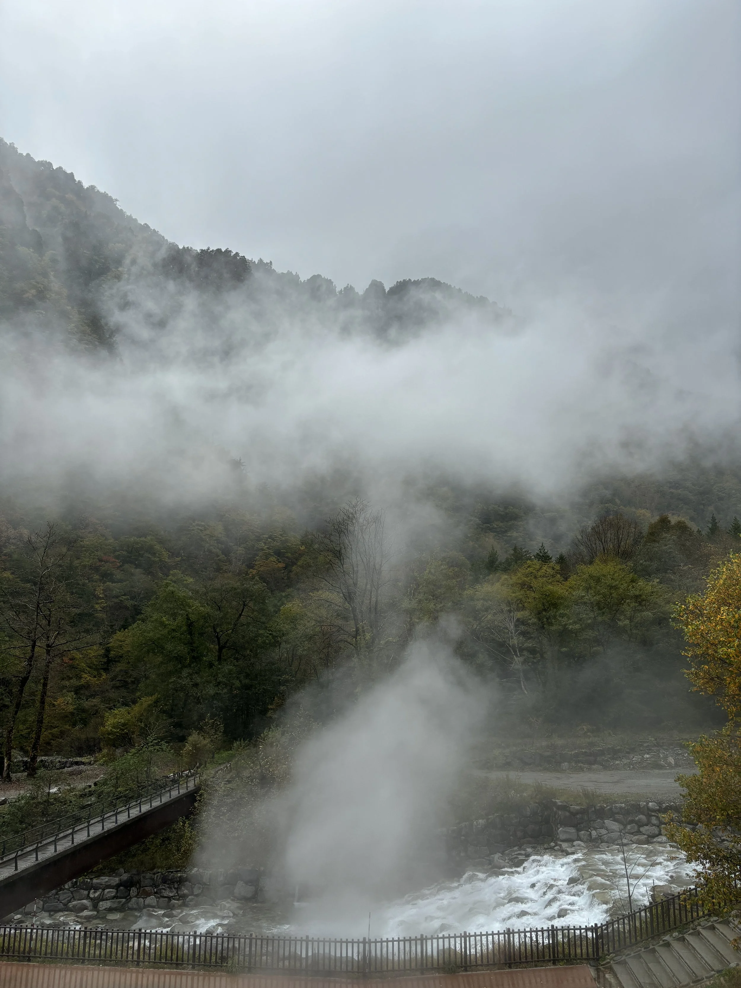 IMG_6527.JPG