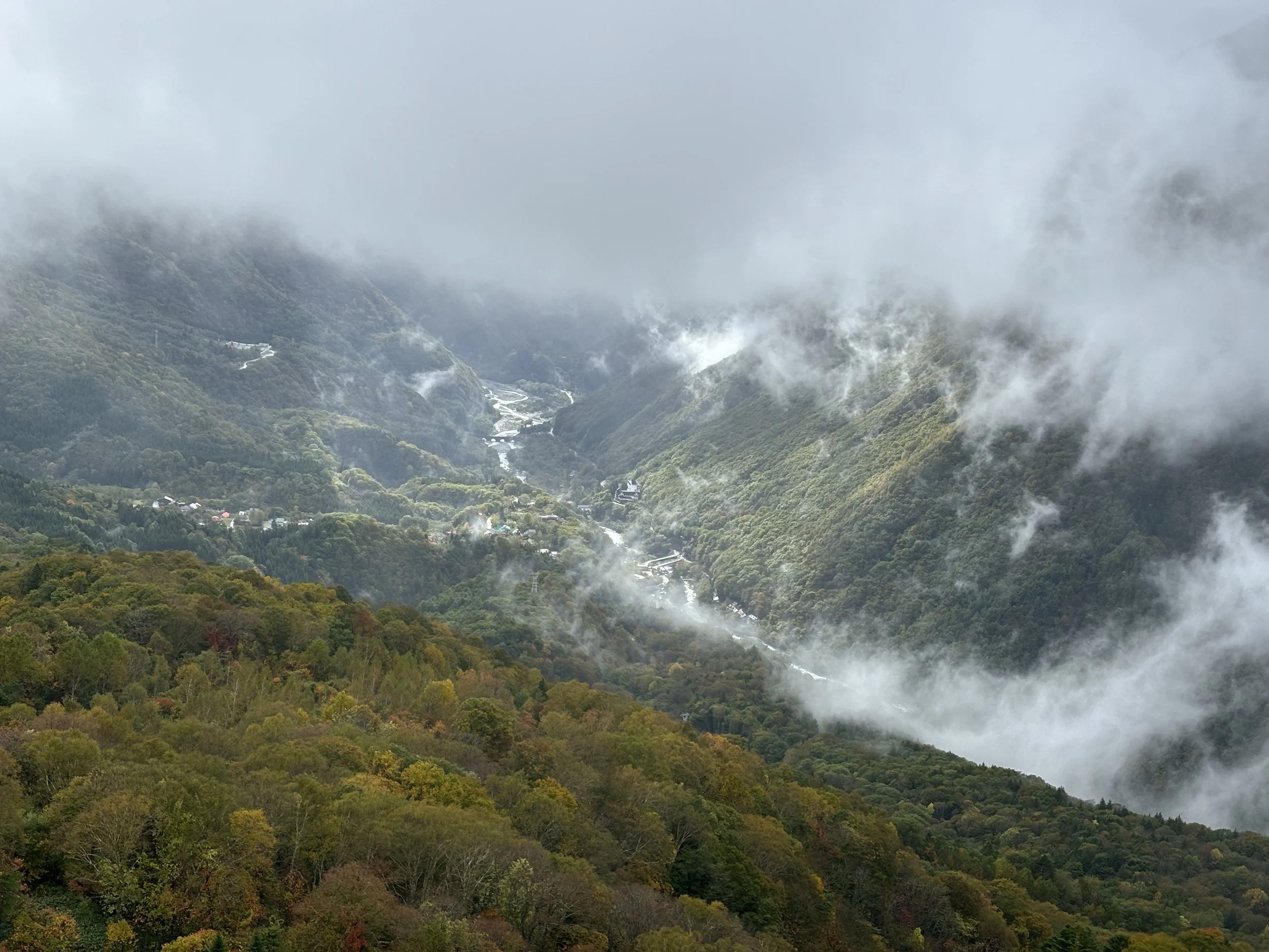IMG_6542.JPG