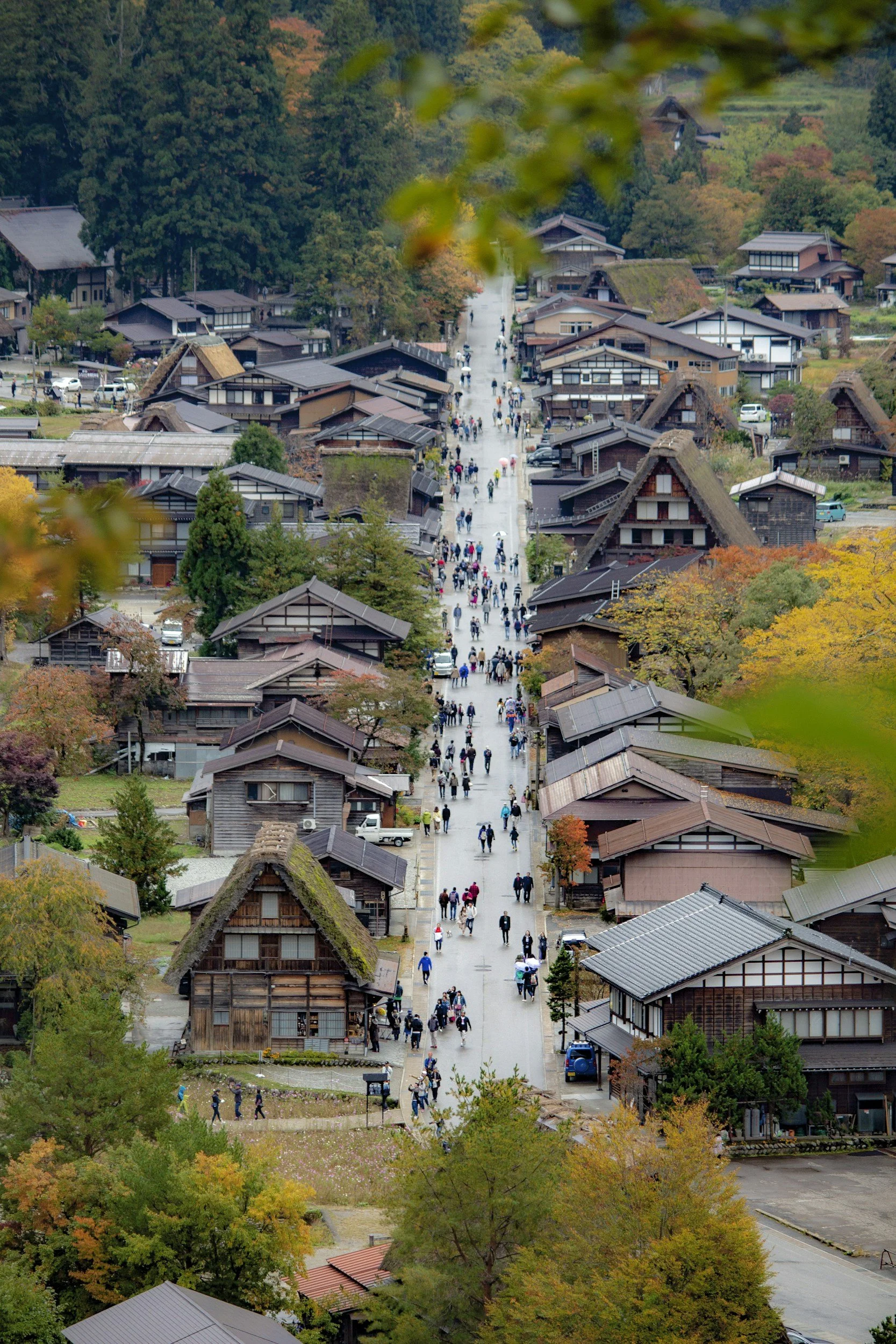 Tall, traditional Japanese buildings with thatched and tiled roofs, surrounded by lush green trees with autumn colors, and filled with many people walking along a main street in a scenic village.