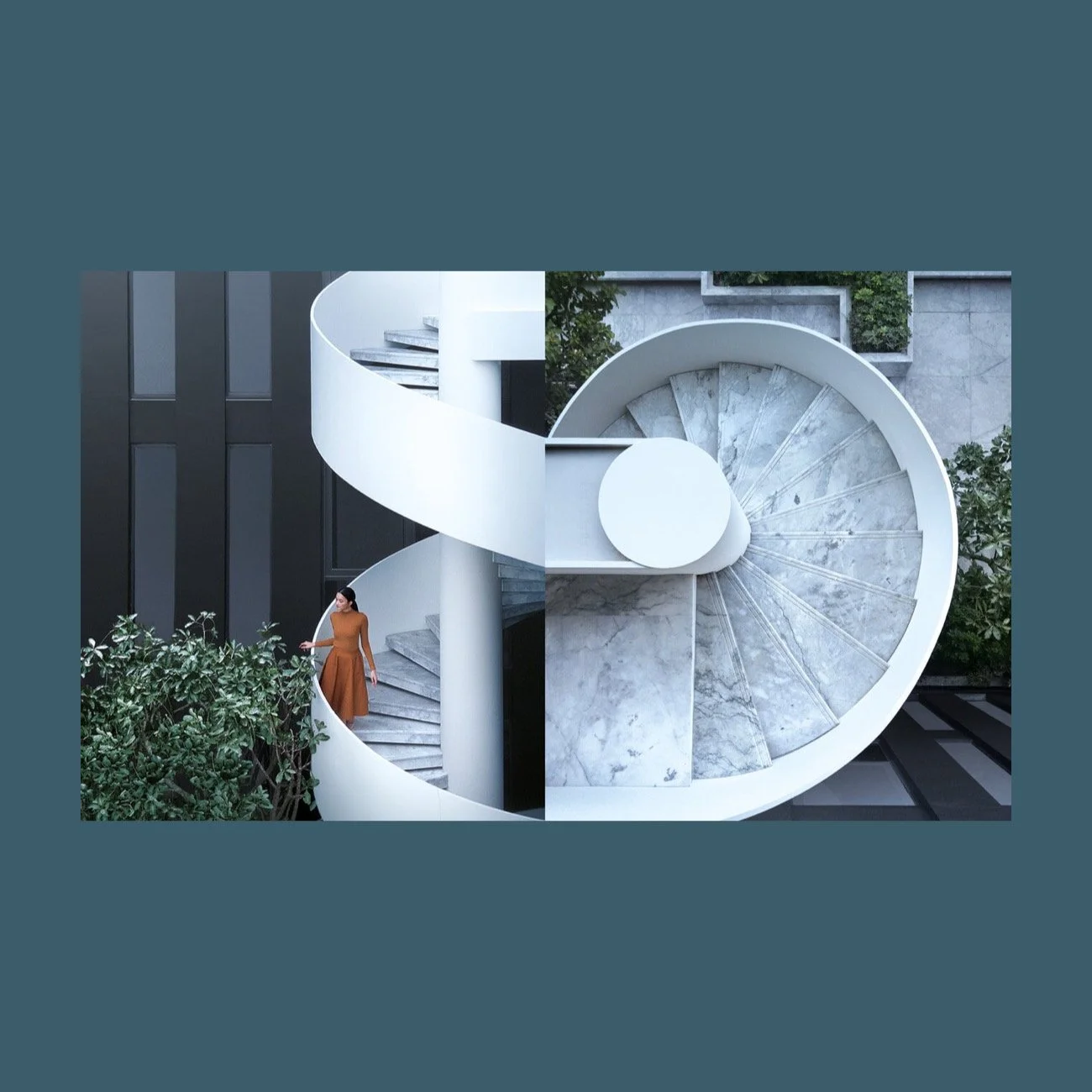 sc asset ➭