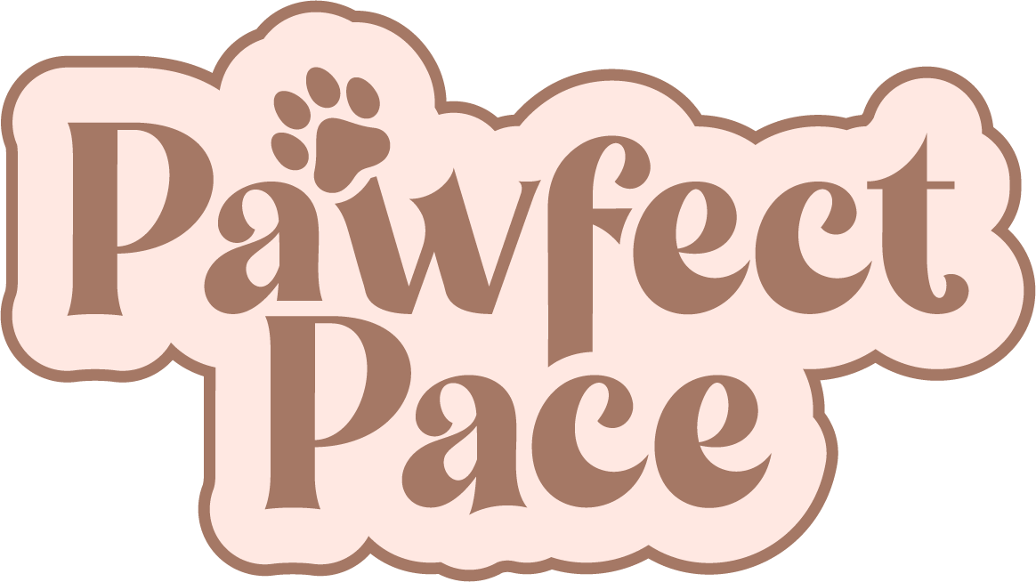 Your Site Title