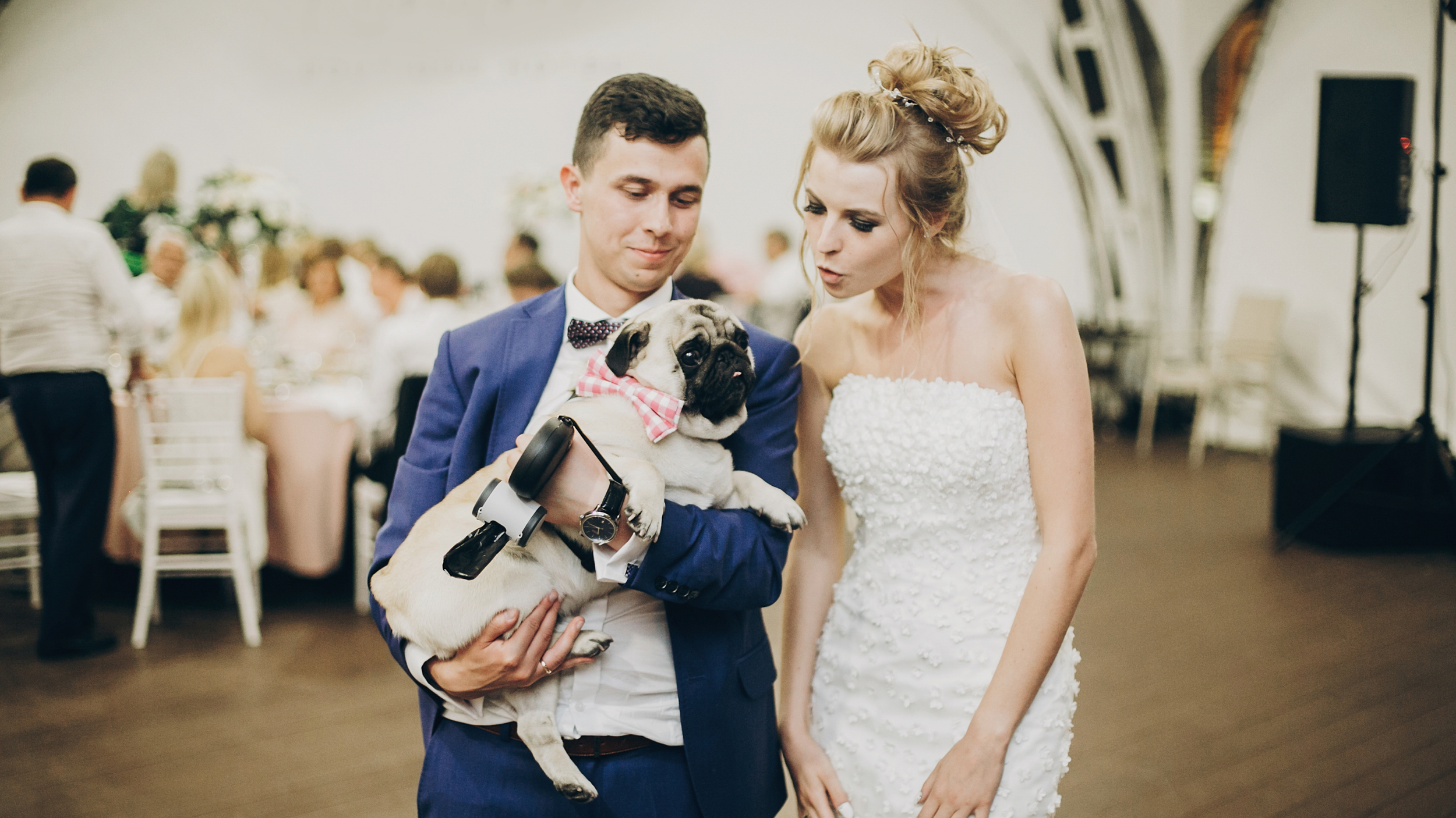 A man in a blue suit holding a pug dog with a pink bowtie, standing next to a woman in a wedding dress at a wedding reception.