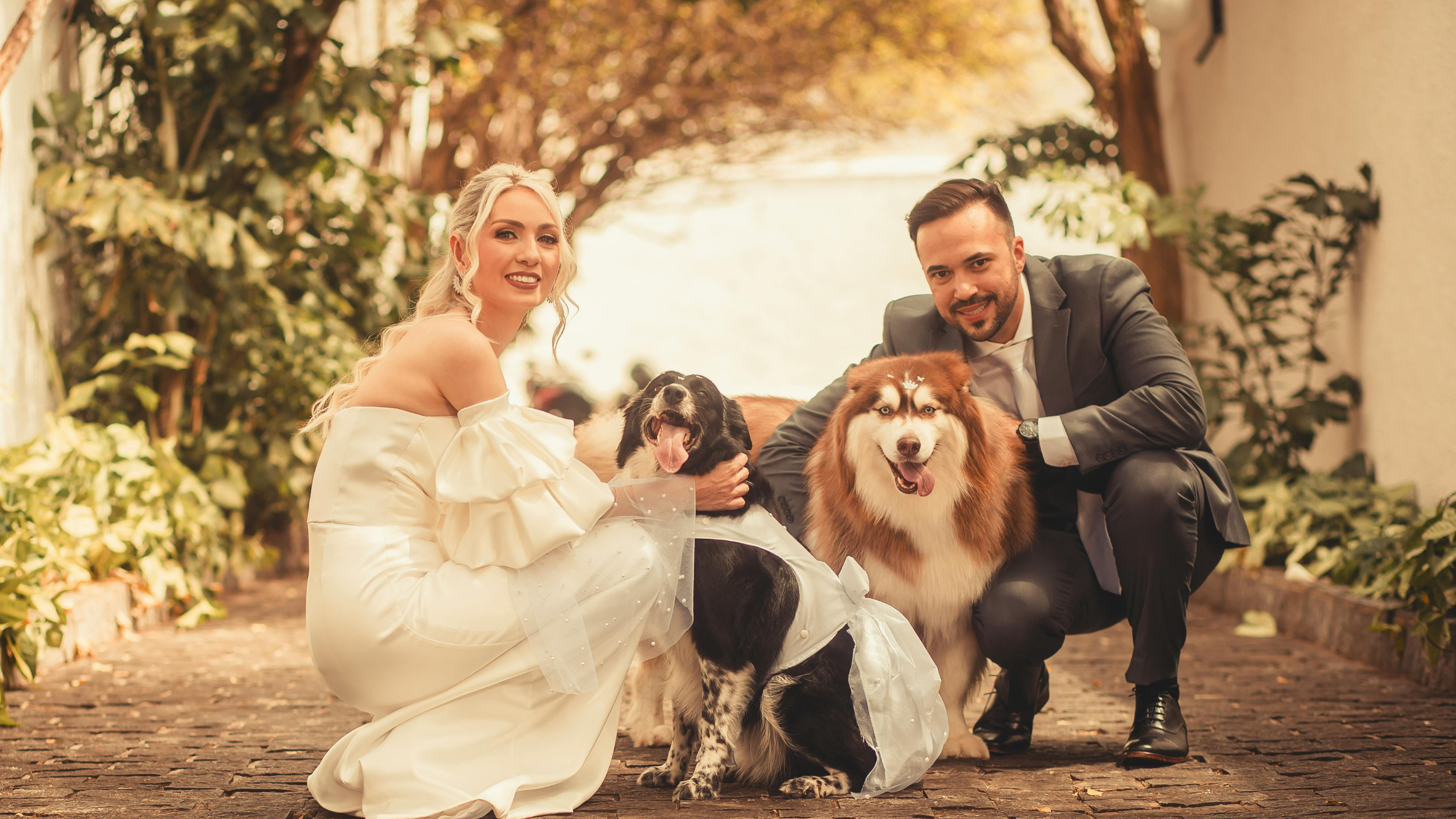 A bride and groom outdoors with two dogs, one husky and one border collie, all smiling on a cobblestone path surrounded by greenery.