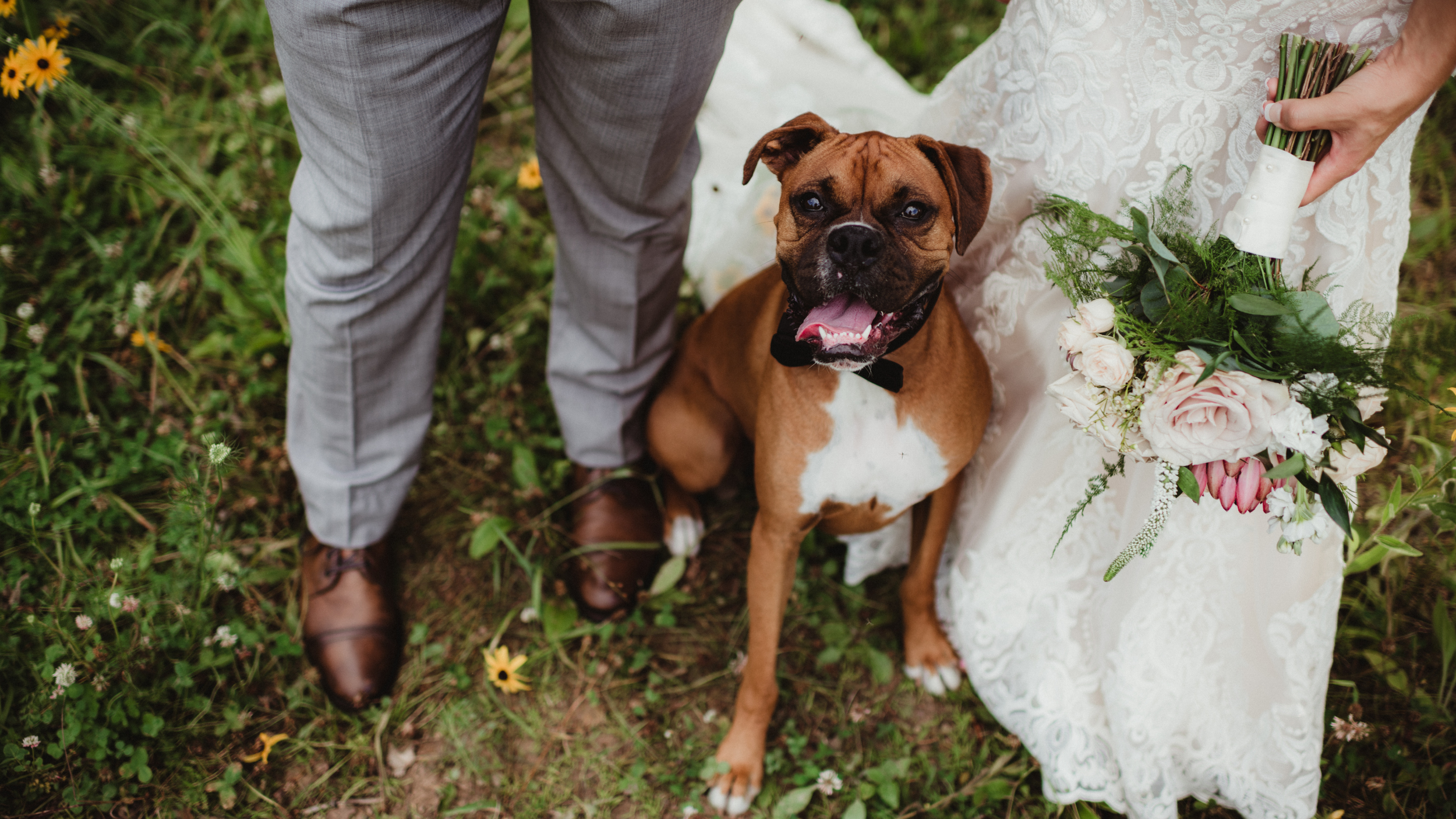 A dog sitting on grass between a person's legs and a woman in a white lace dress holding a bouquet, at an outdoor wedding.