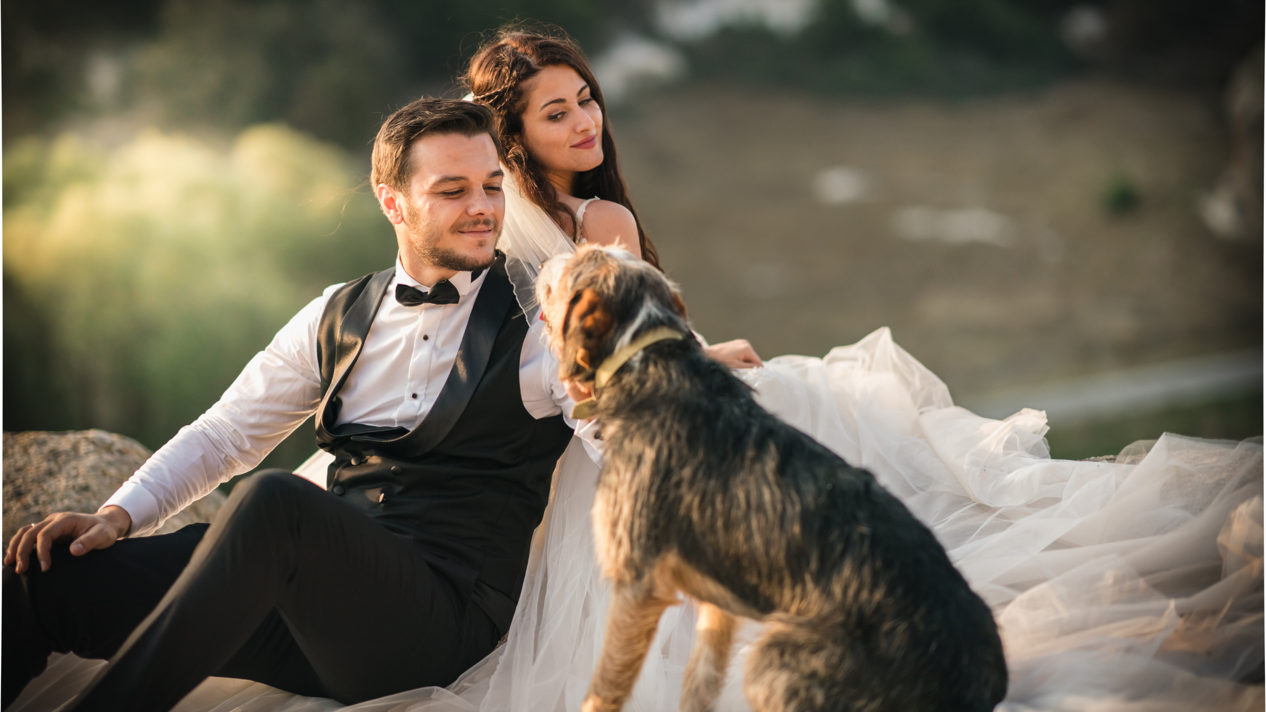 A couple dressed in wedding attire sitting outdoors with dogs, enjoying a peaceful moment at sunset.