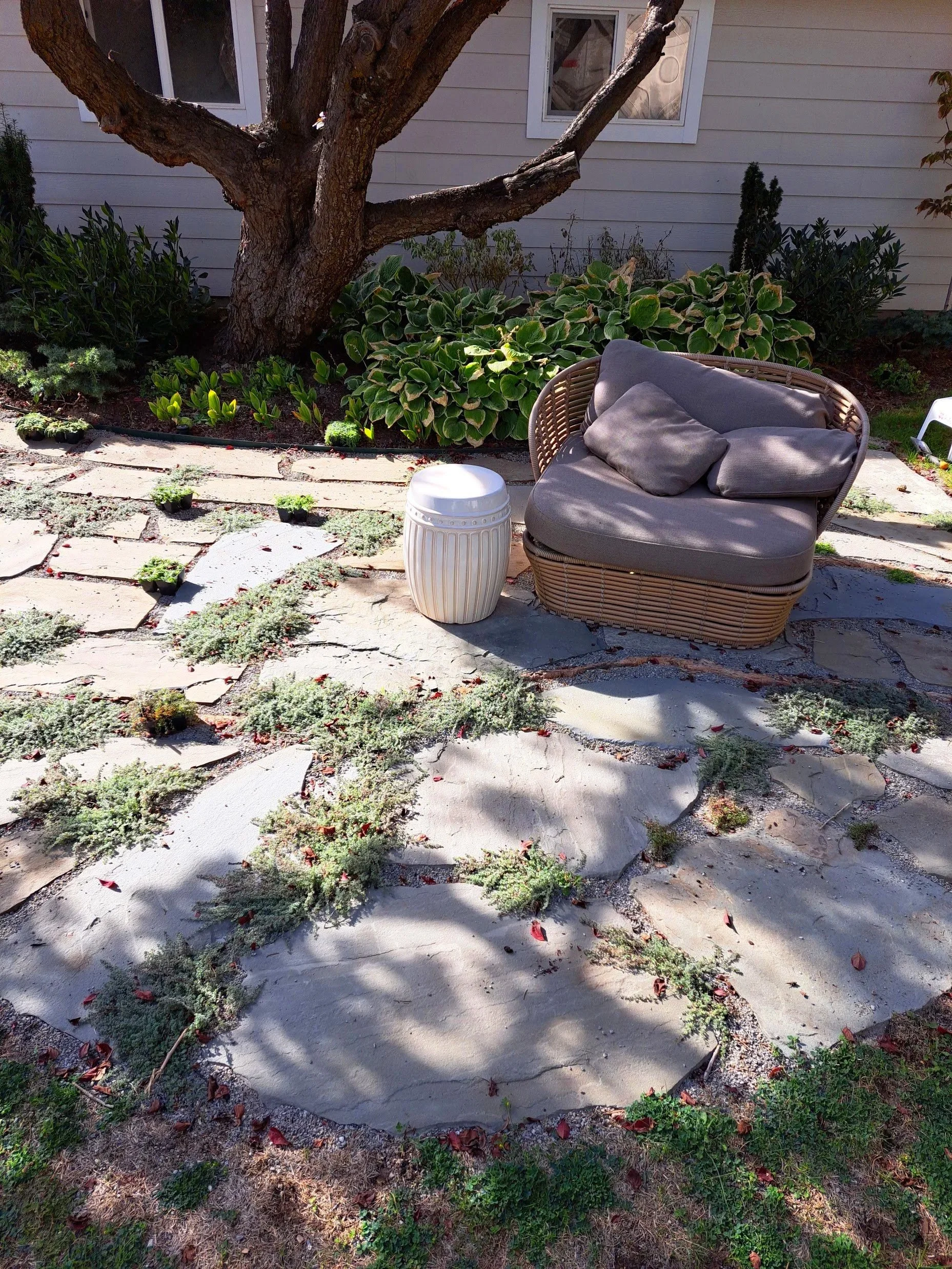 Paver installation