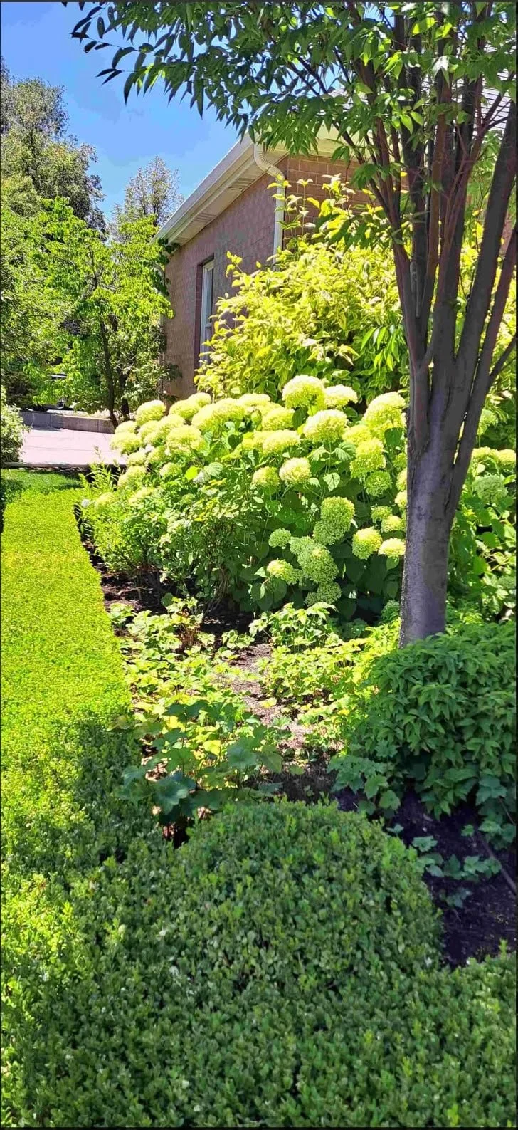 Professional yard cleanup near downtown Salt Lake City, serving the historic Avenues and Sugar House neighborhoods.
