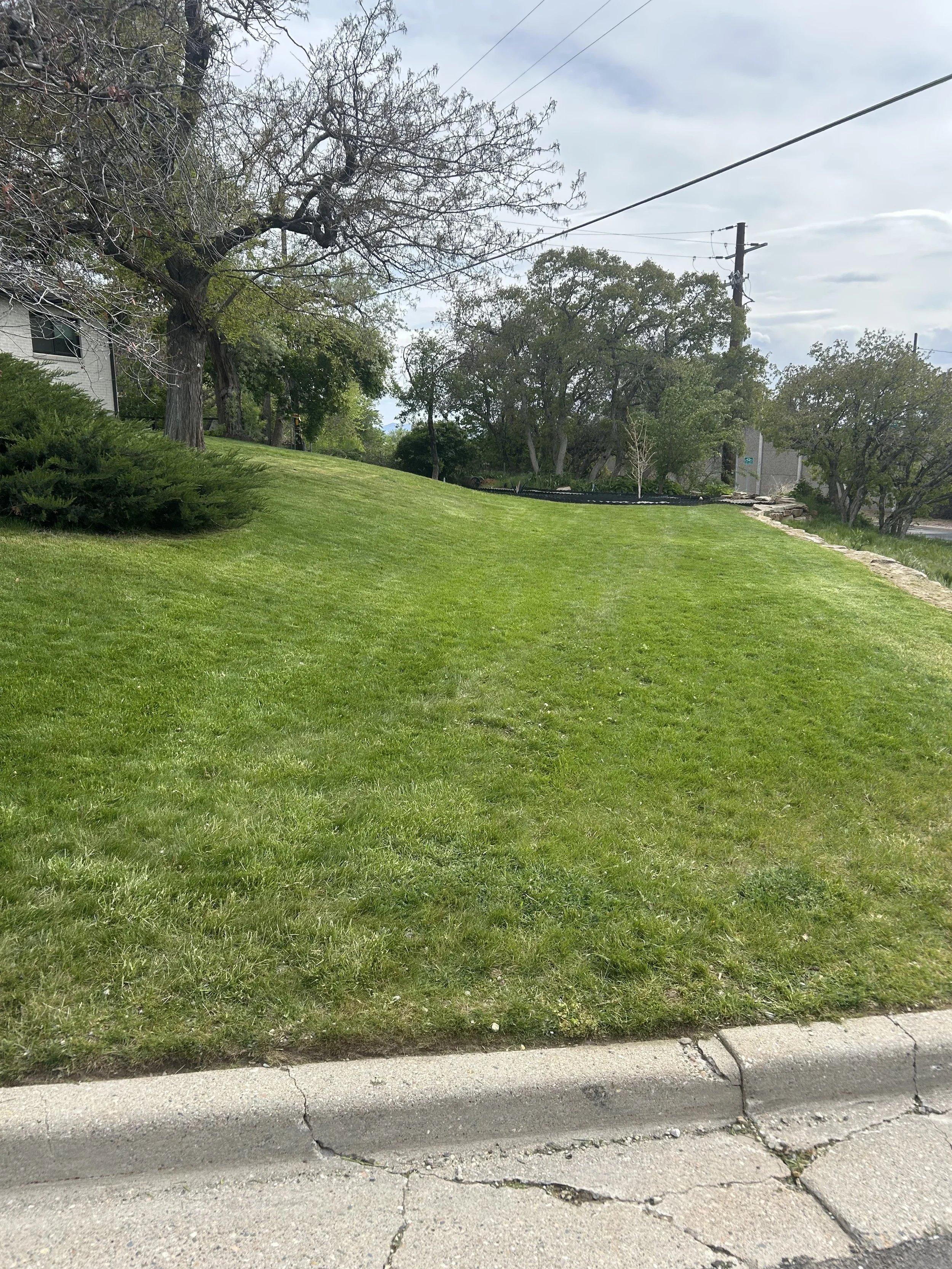 Lawn and weeding services
