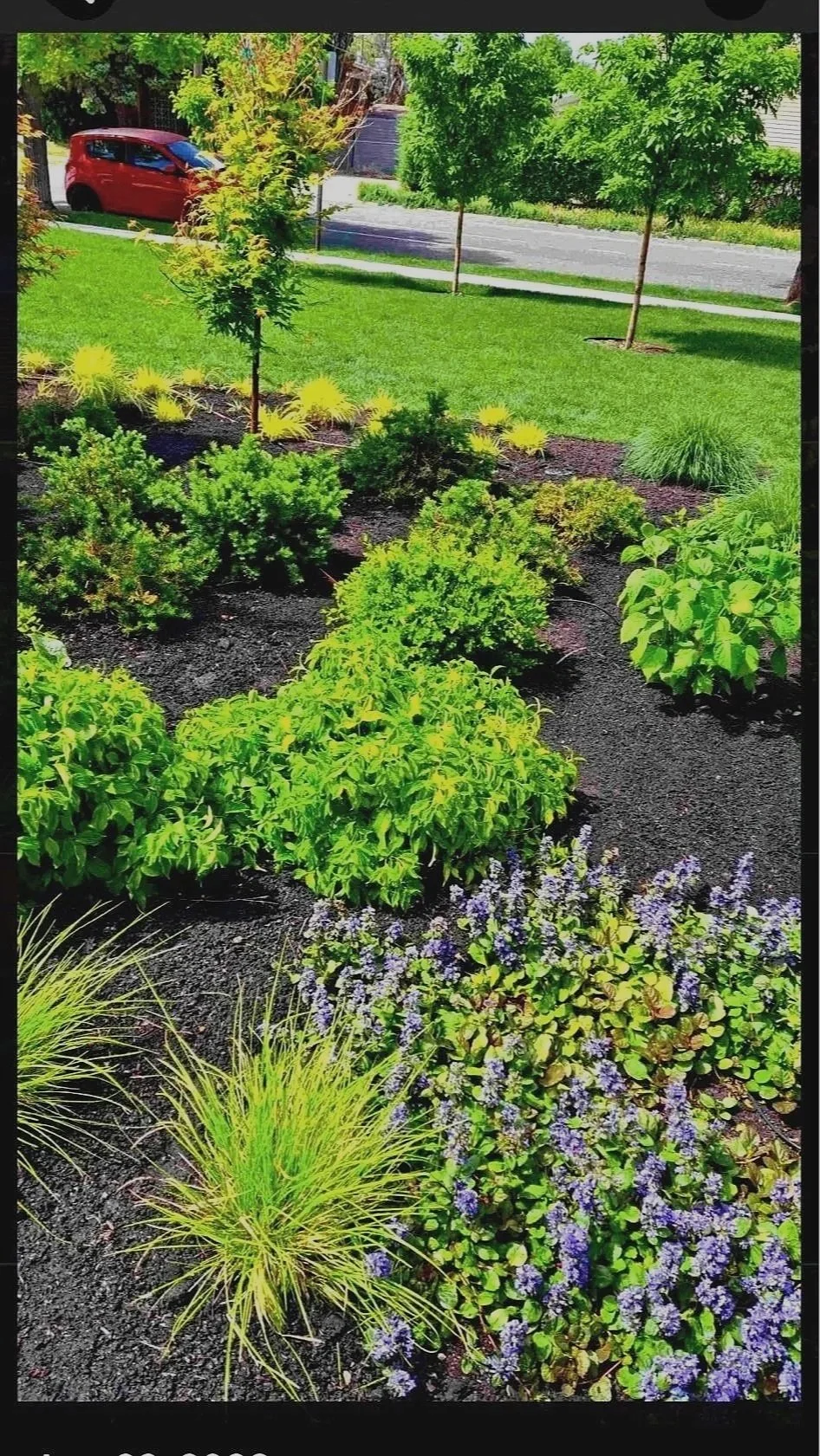 yard clean ups in sugar house area UT by L&B landscaping
