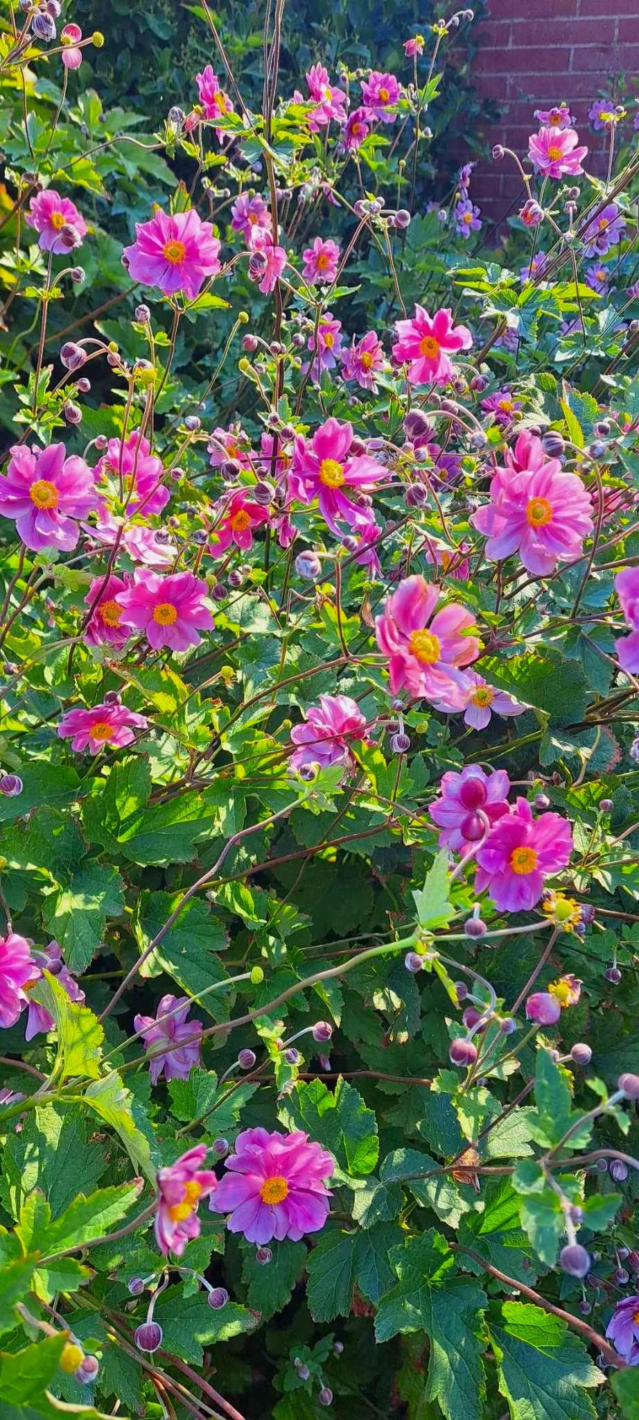 Professional flower bed planting and installation service in Salt Lake City, Utah, by L and B Landscaping. Add vibrant color and life to your outdoor space.