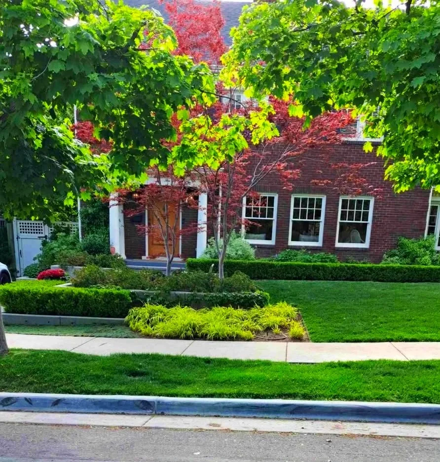 Hedge trimming