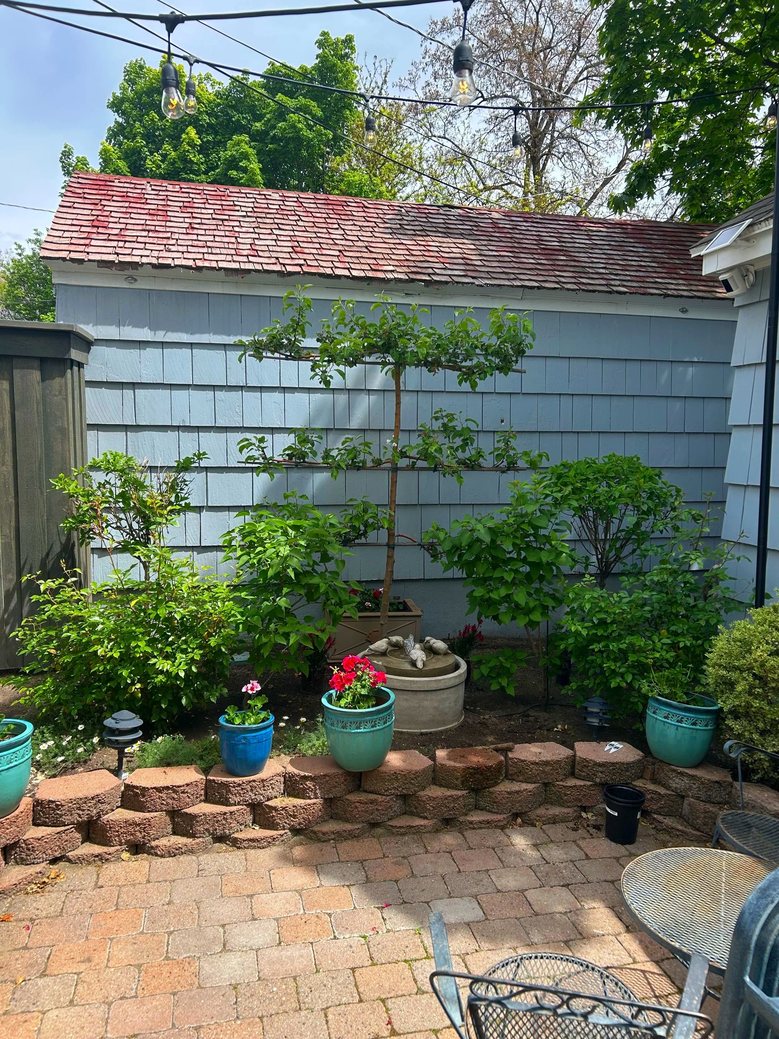 Patio renovation