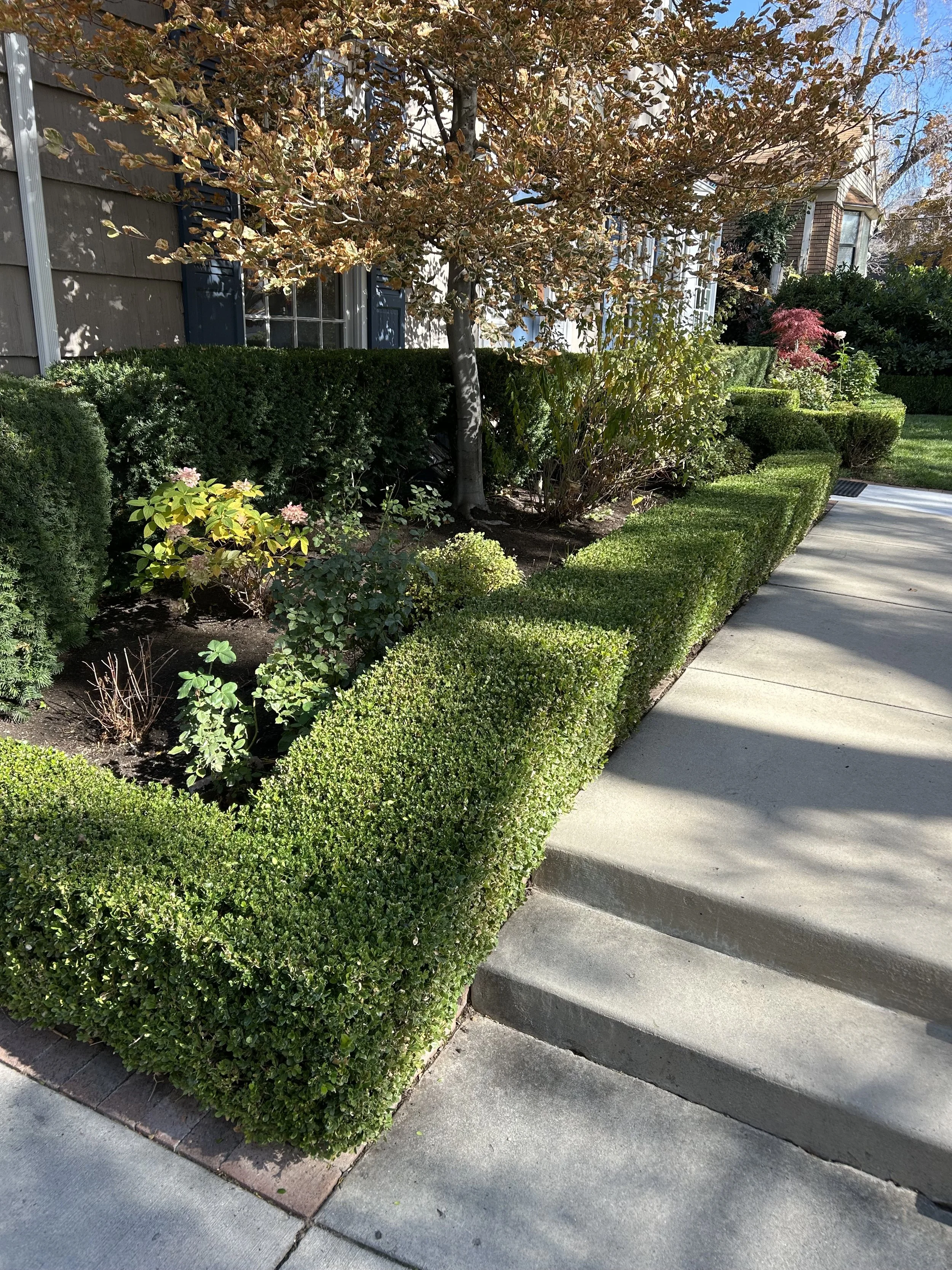 Garden bed cleanups