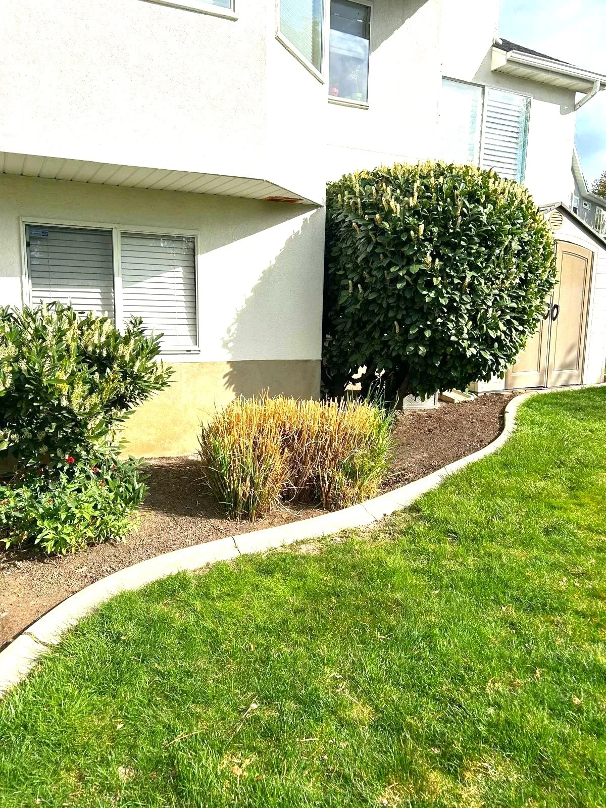 Weekly yard cleanup