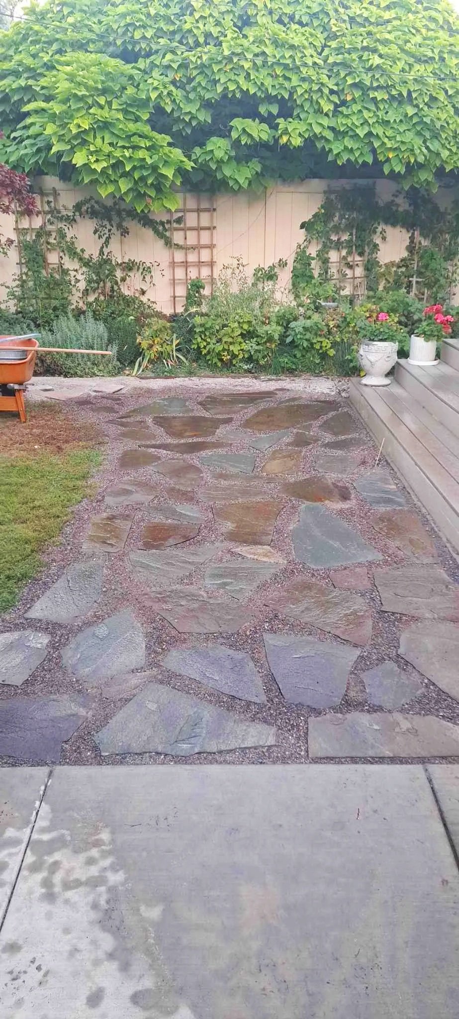 A backyard with a stone pathway, green plants, and potted flowers.